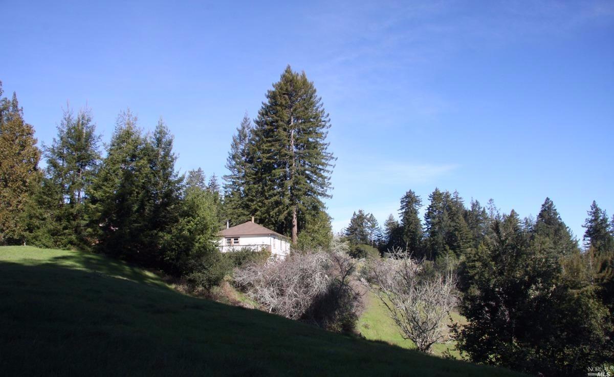 4251 Joy Rd, Occidental, CA 95465 photo 16