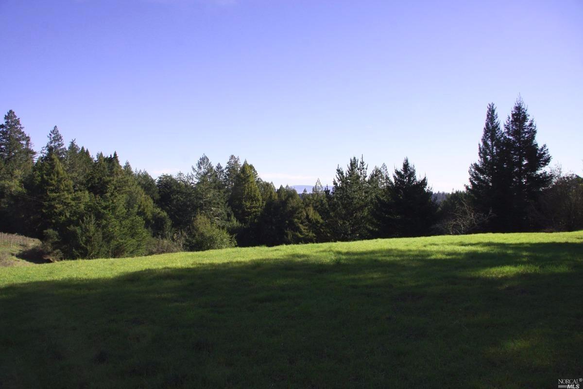 4251 Joy Rd, Occidental, CA 95465 photo 31