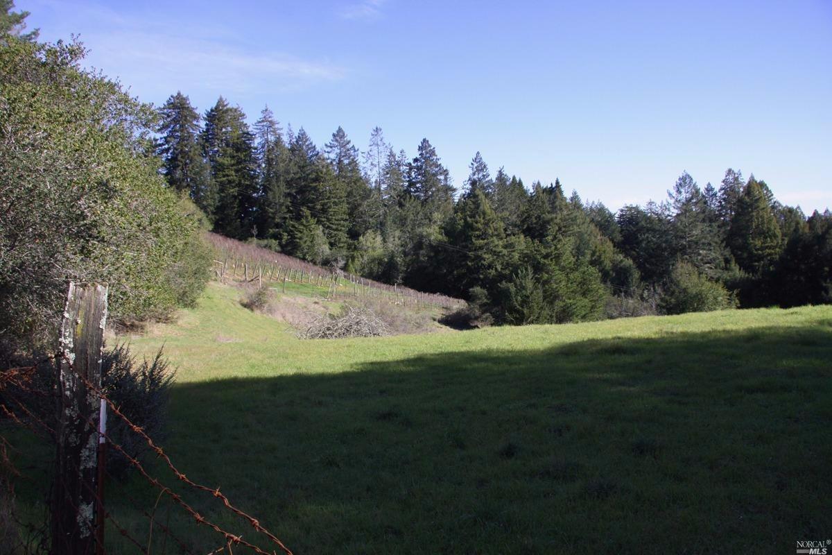 4251 Joy Rd, Occidental, CA 95465 photo 41