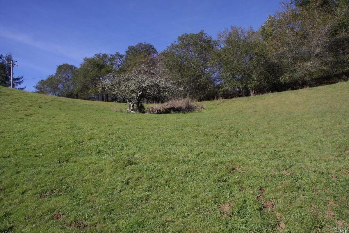 4251 Joy Rd, Occidental, CA 95465 photo 36