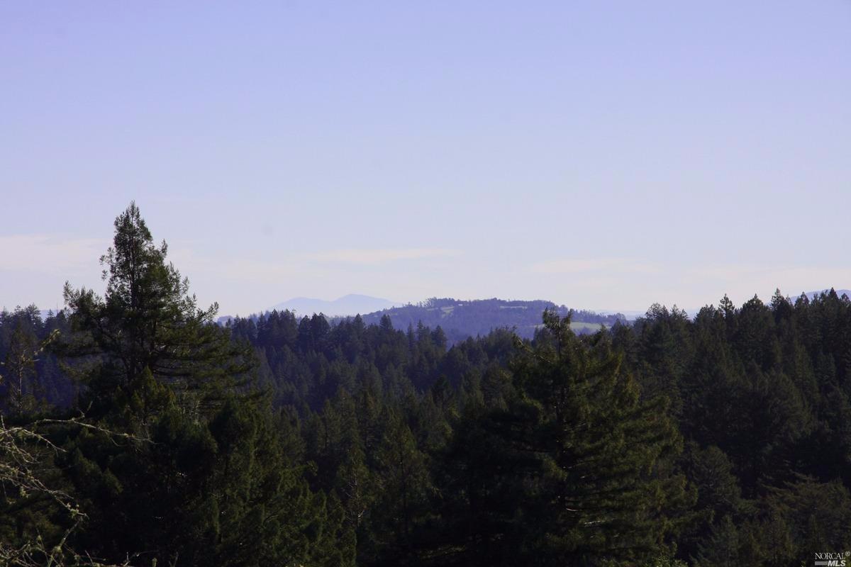 4251 Joy Rd, Occidental, CA 95465 photo 21