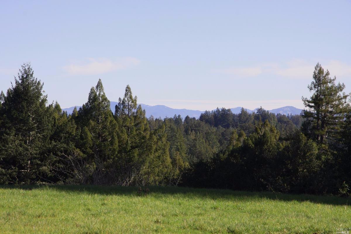 4251 Joy Rd, Occidental, CA 95465 photo 33