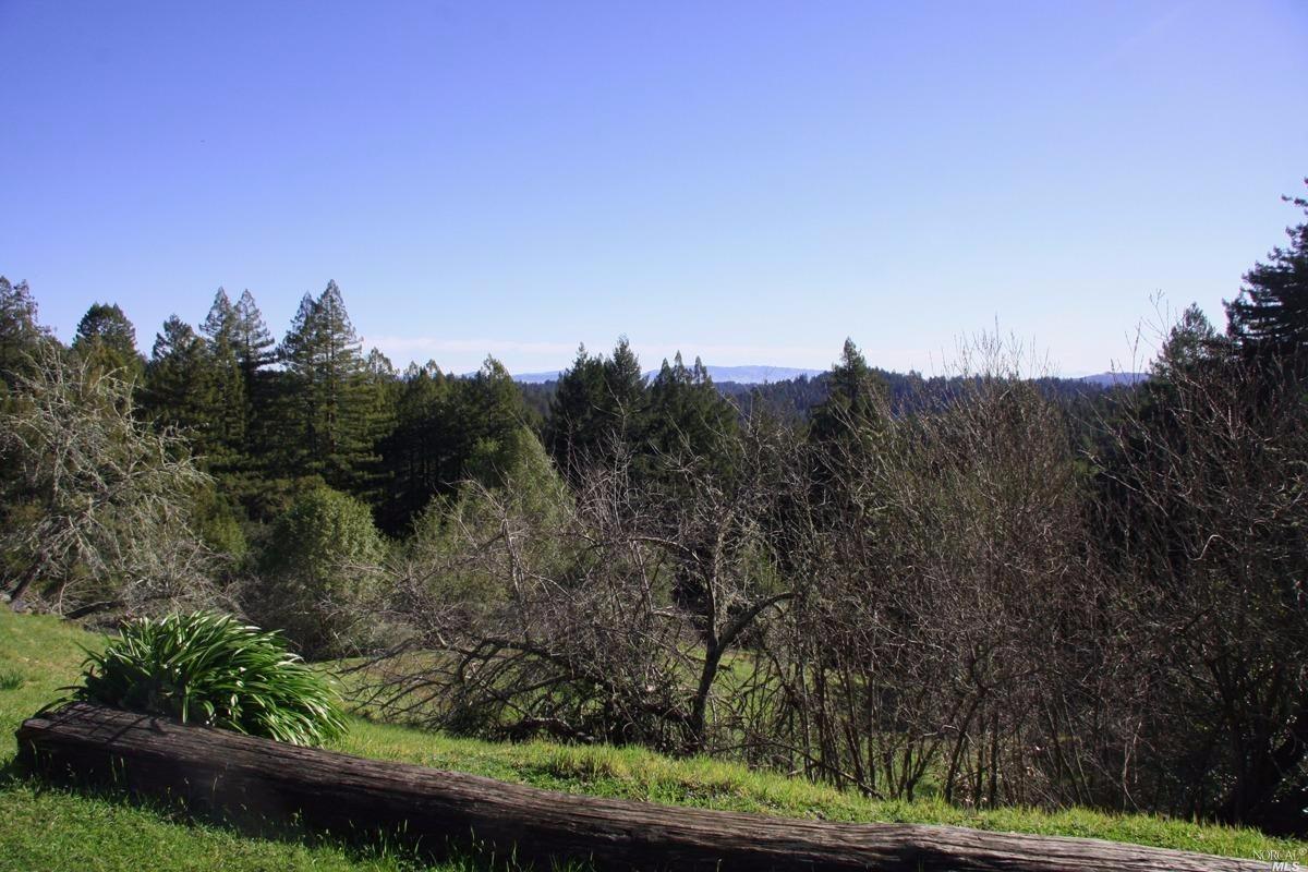 4251 Joy Rd, Occidental, CA 95465 photo 29