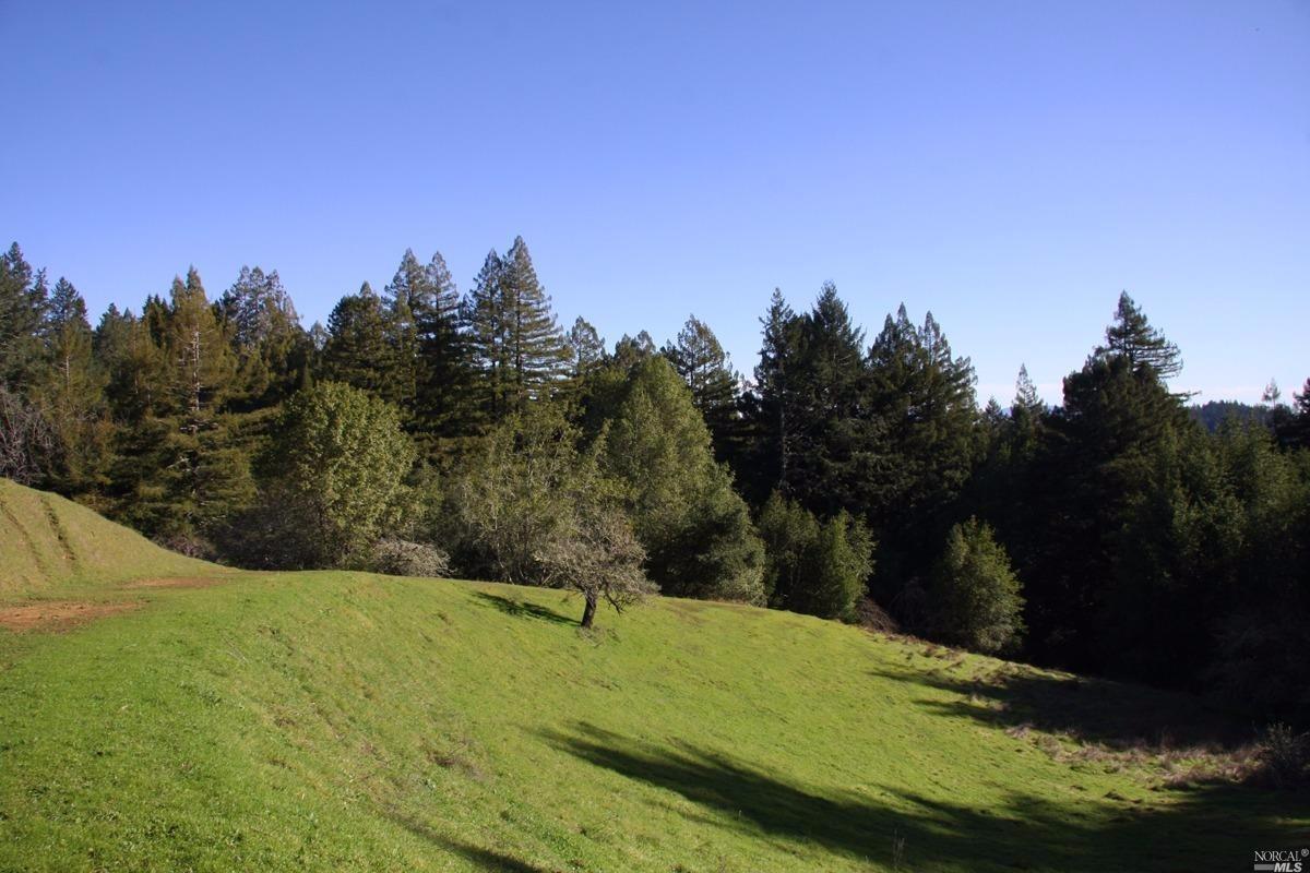 4251 Joy Rd, Occidental, CA 95465 photo 35
