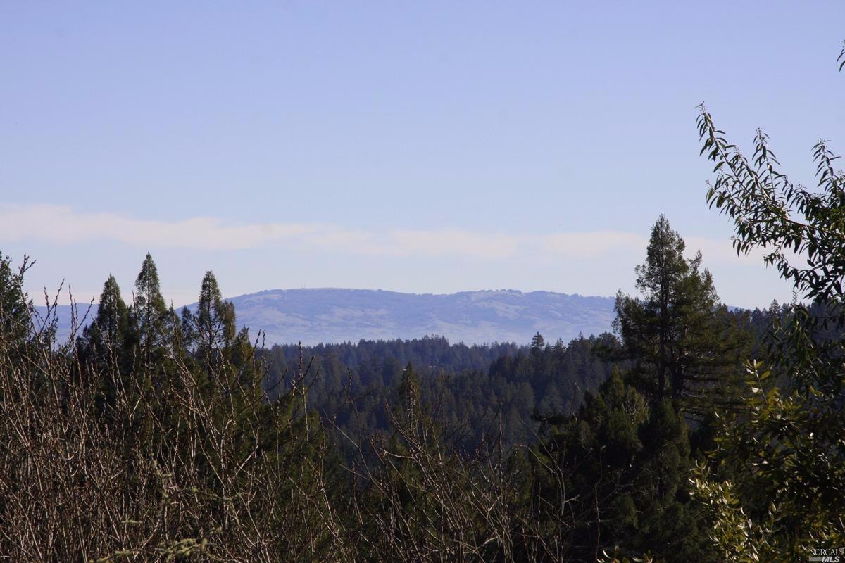 4251 Joy Rd, Occidental, CA 95465 photo 23