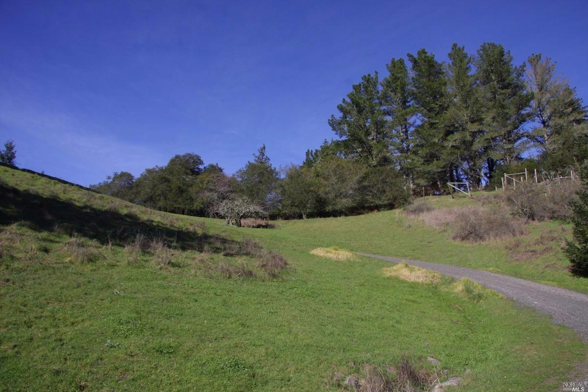 4251 Joy Rd, Occidental, CA 95465 photo 37