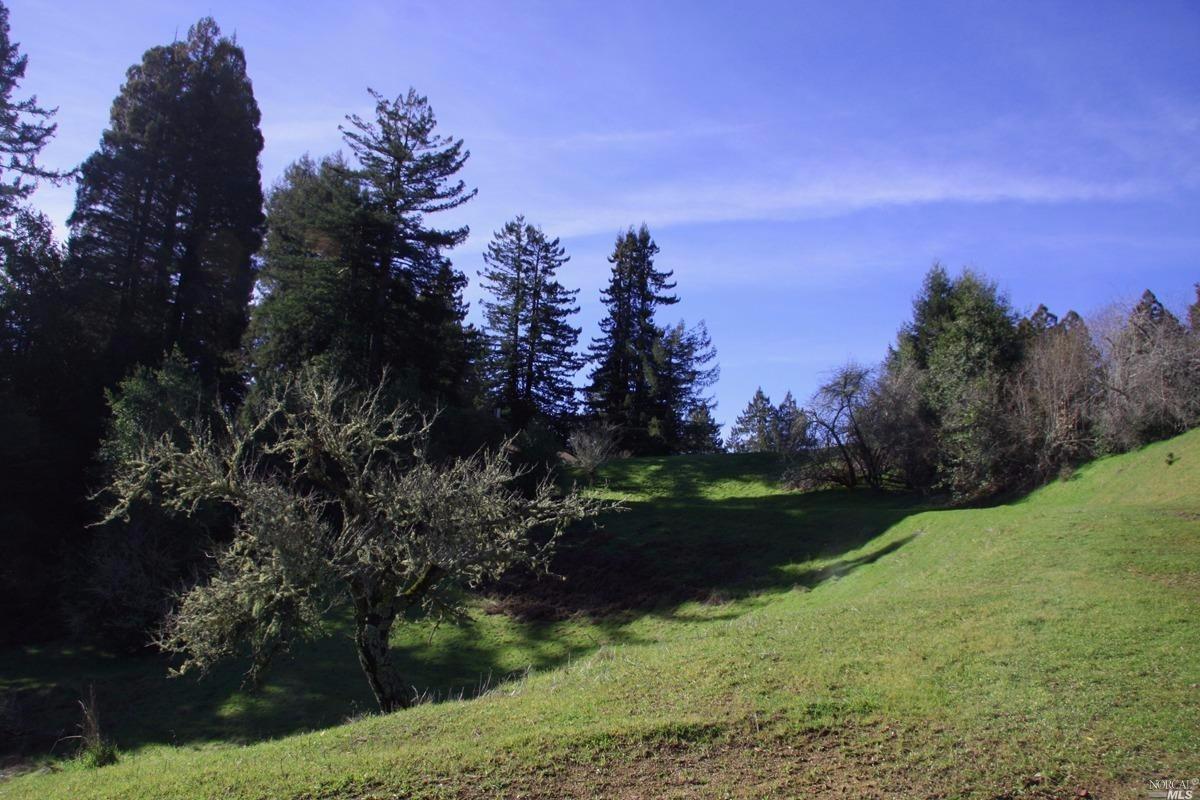 4251 Joy Rd, Occidental, CA 95465 photo 39