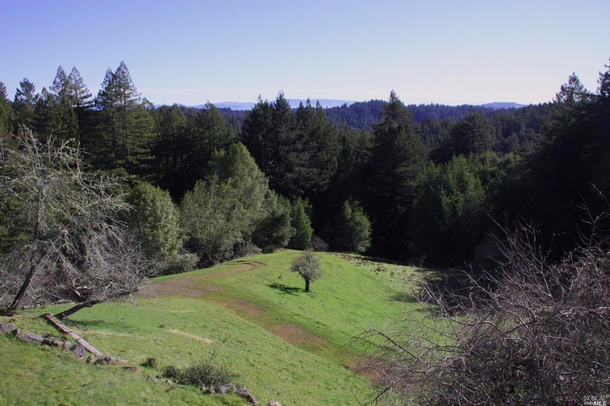 4251 Joy Rd, Occidental, CA 95465 photo 34