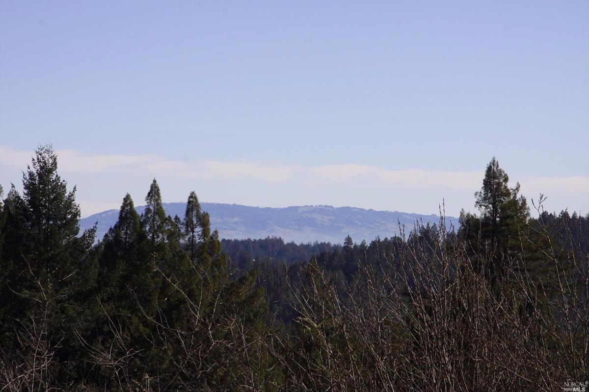 4251 Joy Rd, Occidental, CA 95465 photo 18