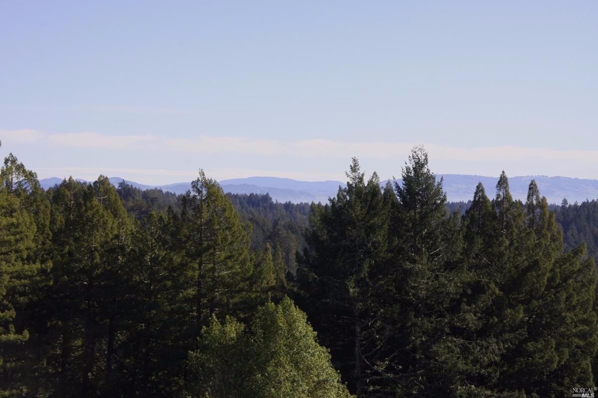 4251 Joy Rd, Occidental, CA 95465 photo 22