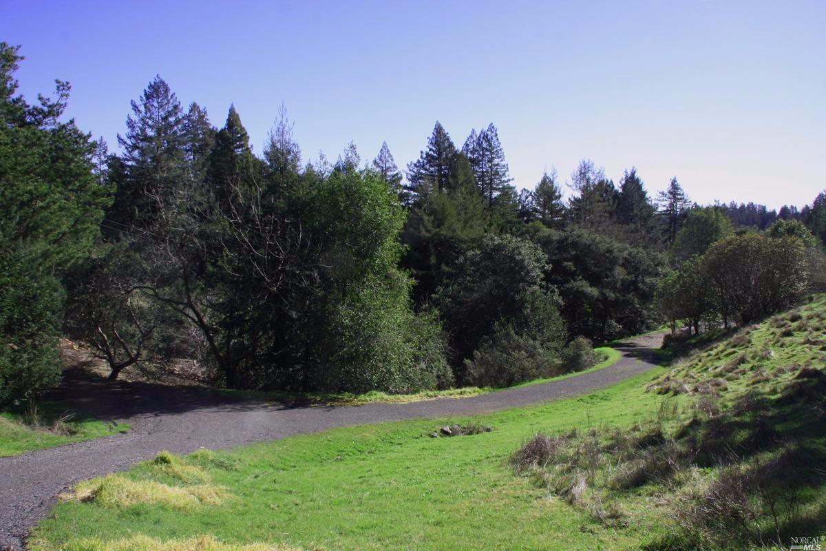4251 Joy Rd, Occidental, CA 95465 photo 38