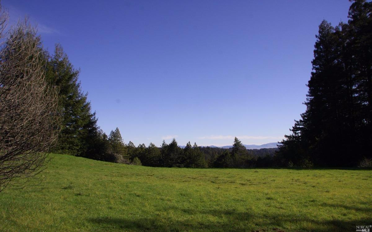 4251 Joy Rd, Occidental, CA 95465 photo 30