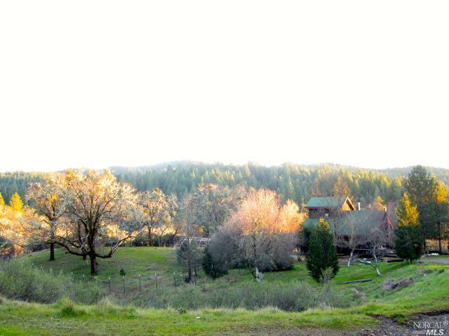 Undisclosed, Willits, CA 95490 photo 1