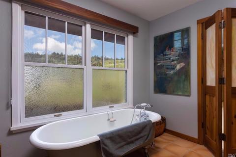 37 Lafranchi Ln, Nicasio, CA 94946 photo 15