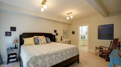 516 Walnut St, Petaluma, CA 94952 photo 22