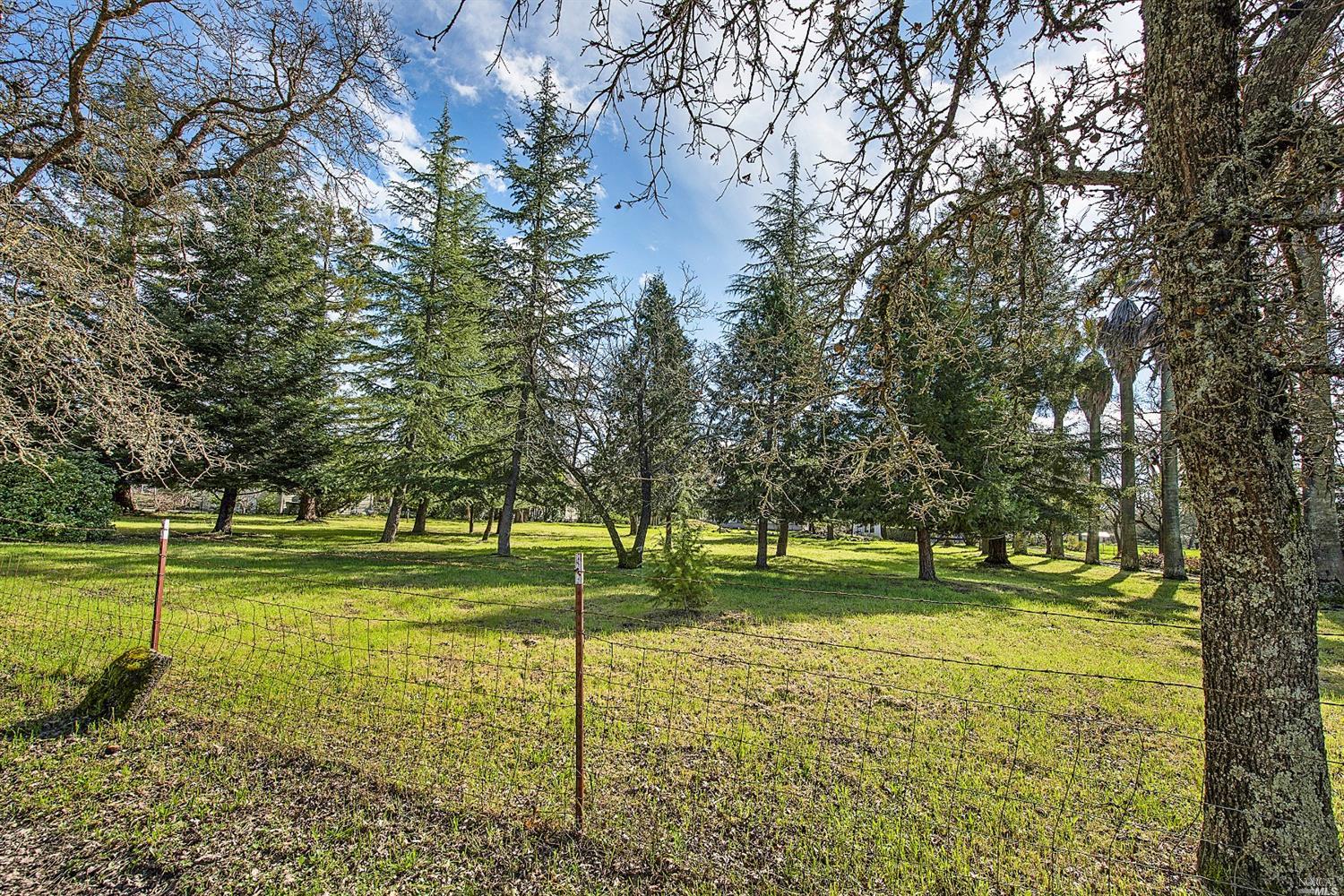 919 E Macarthur St, Sonoma, CA 95476 photo 11