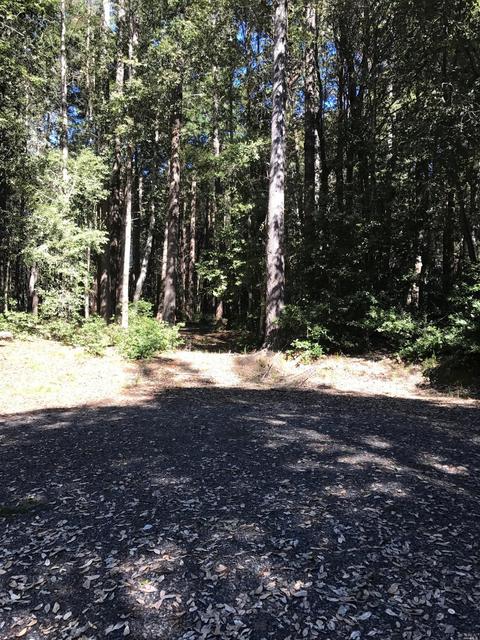 22063 Rust Ct, Jenner, CA 95450 photo 1