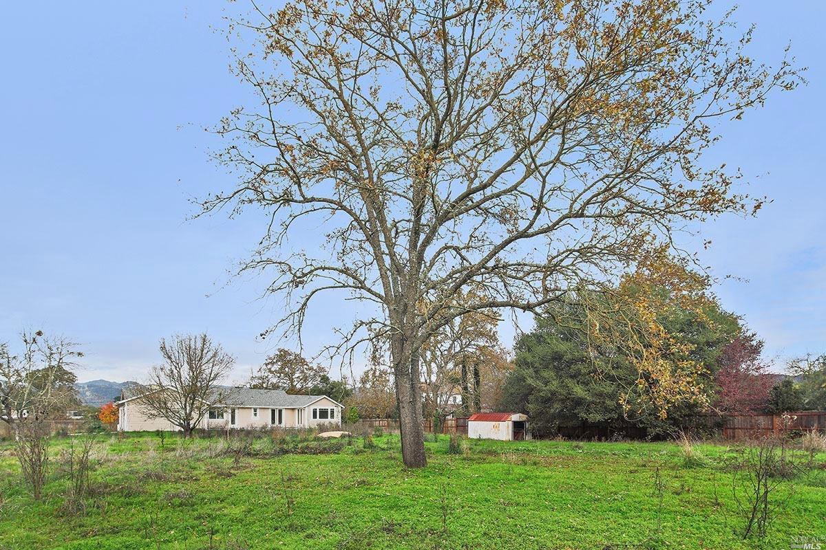 1265 E Macarthur St, Sonoma, CA 95476 photo 9