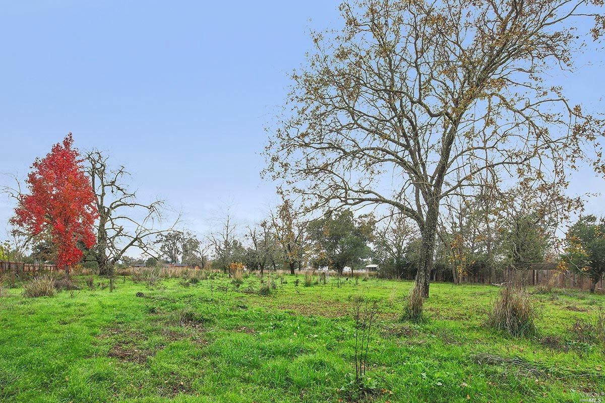 1265 E Macarthur St, Sonoma, CA 95476 photo 8