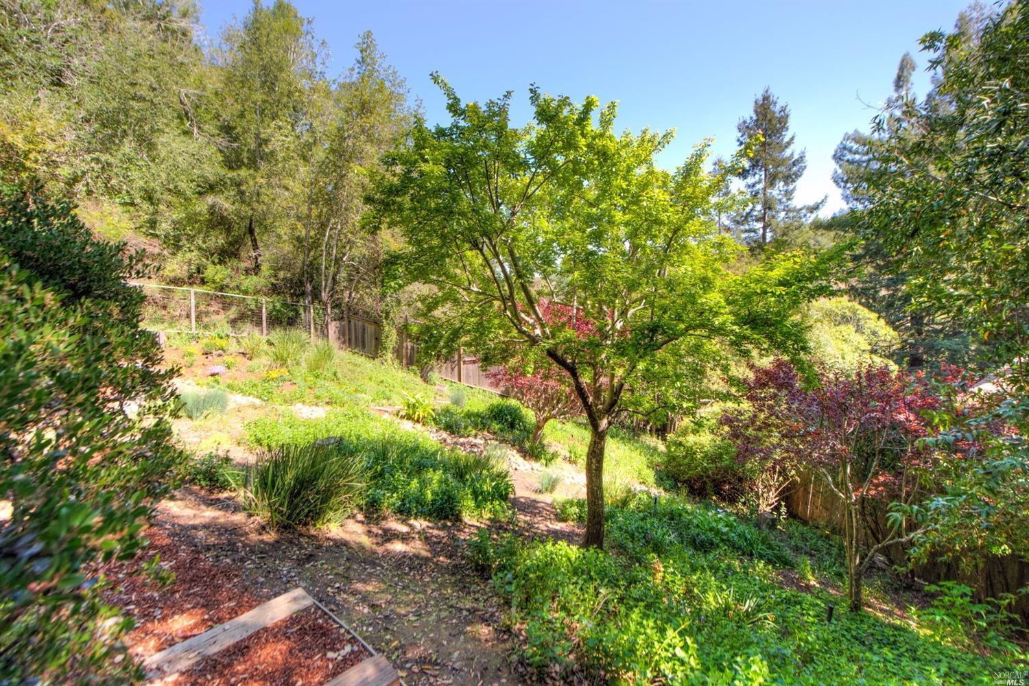 147 Pine Dr, Fairfax, CA 94930 photo 37