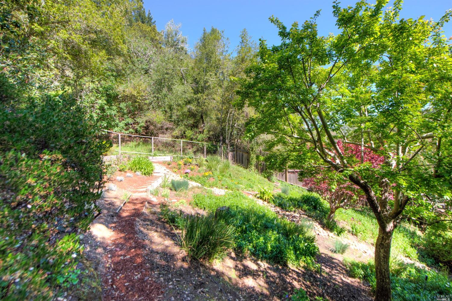 147 Pine Dr, Fairfax, CA 94930 photo 29
