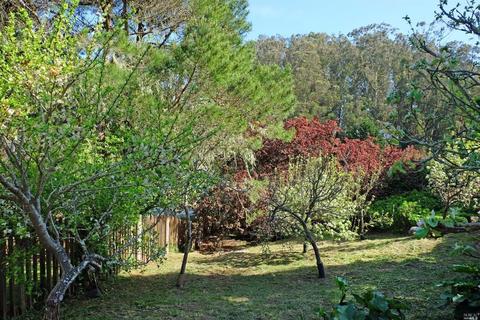 22588 State Route 1, Marshall, CA 94940 photo 41