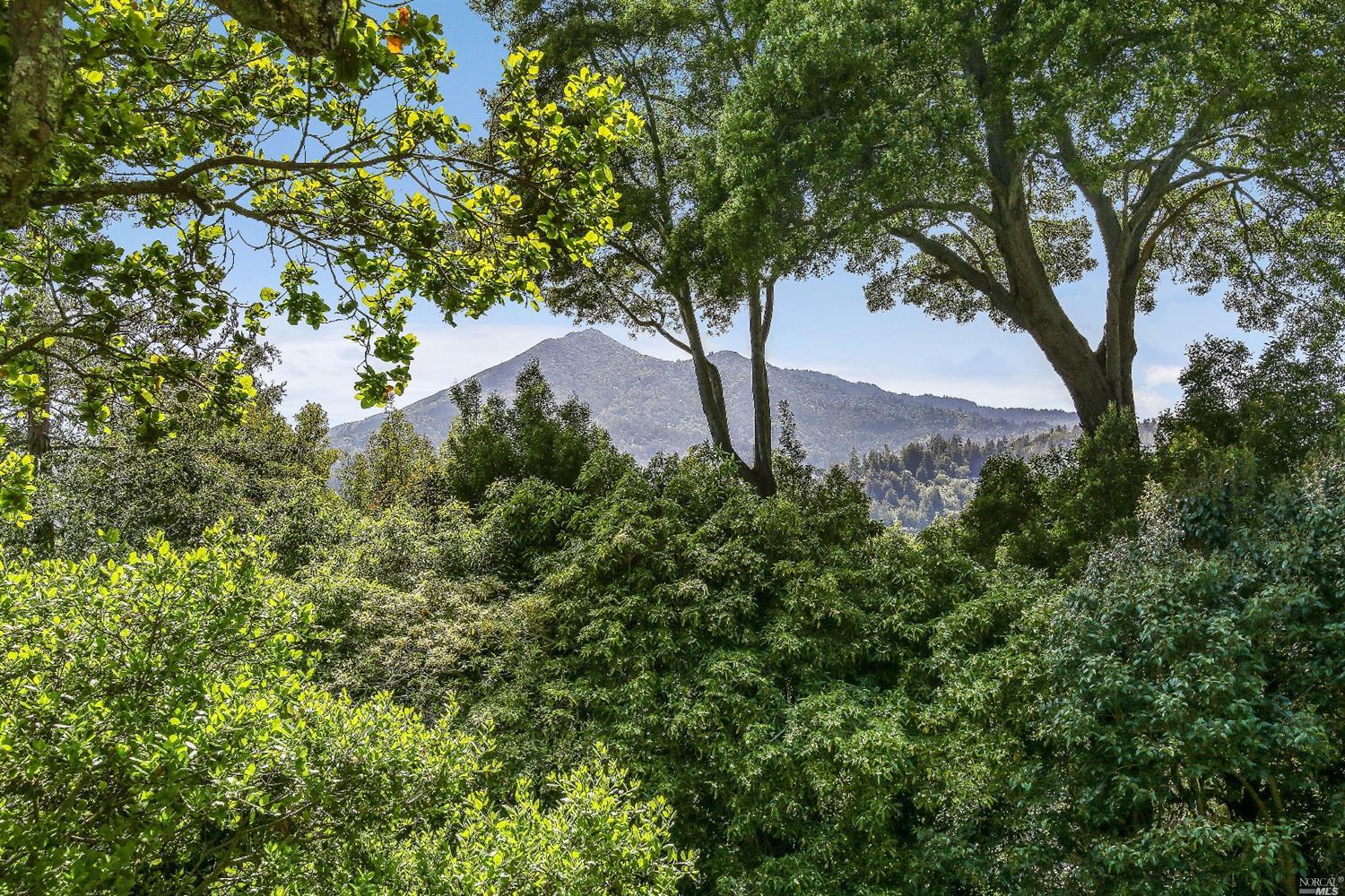 27 Makin Grade, Ross, CA 94957 photo 18