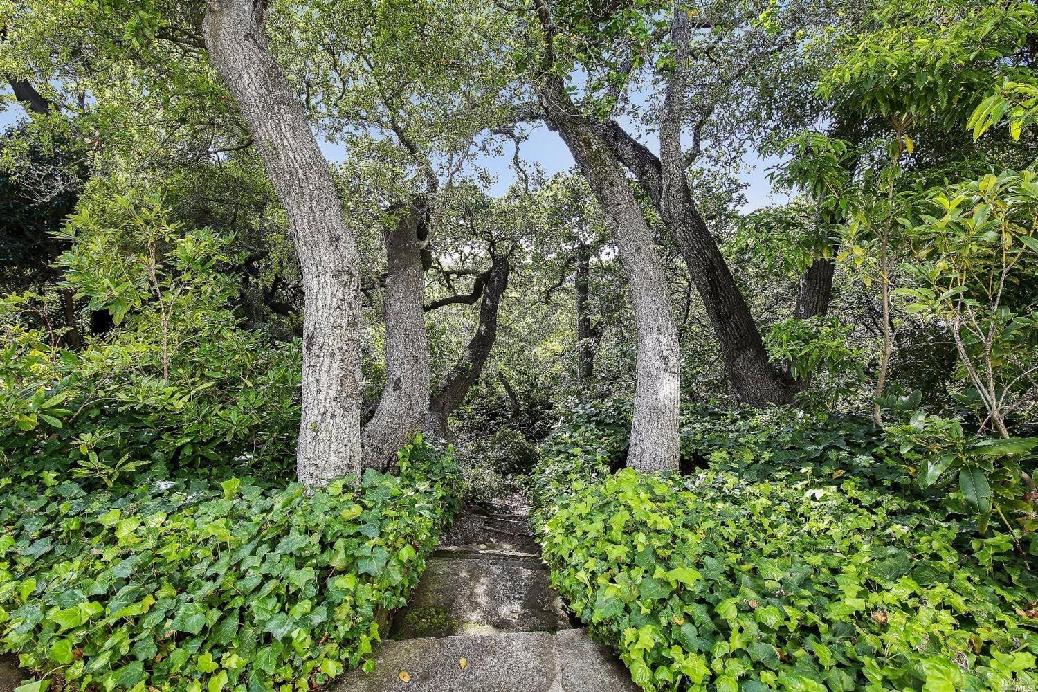 27 Makin Grade, Ross, CA 94957 photo 15