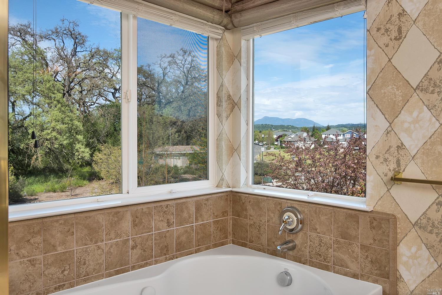 8350 Vercelli Ct, Windsor, CA 95492 photo 21