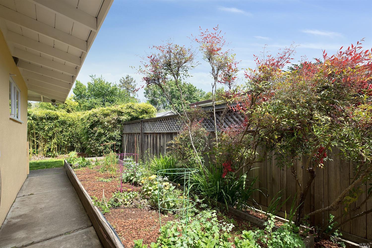 50 Meadow Dr, Mill Valley, CA 94941 photo 24