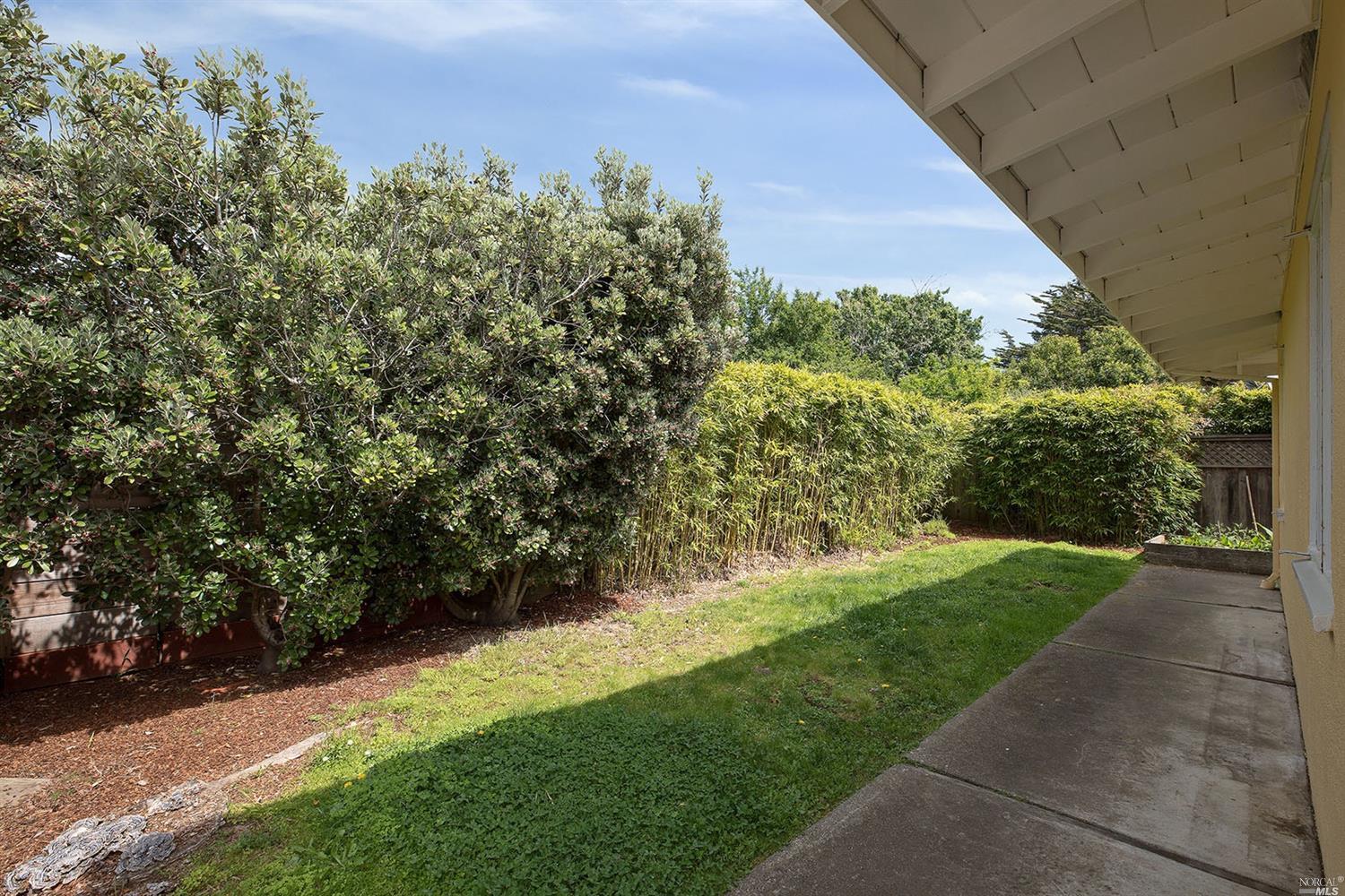 50 Meadow Dr, Mill Valley, CA 94941 photo 21
