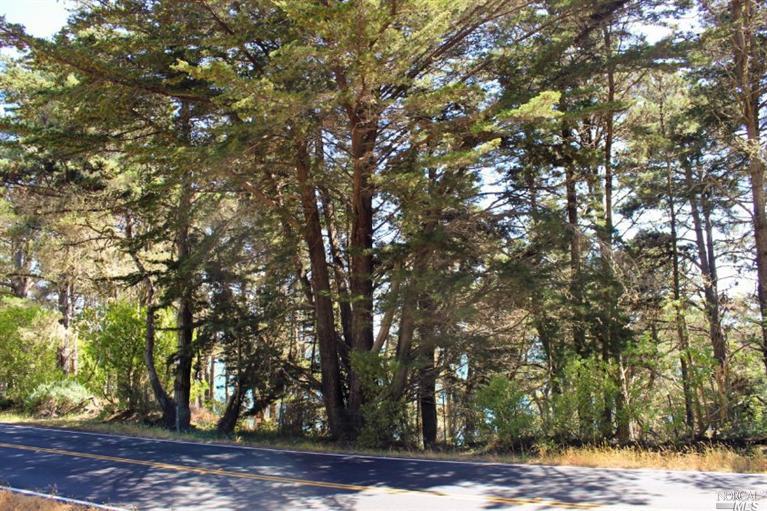 22284 Ruoff Rd, Jenner, CA 95450 photo 7