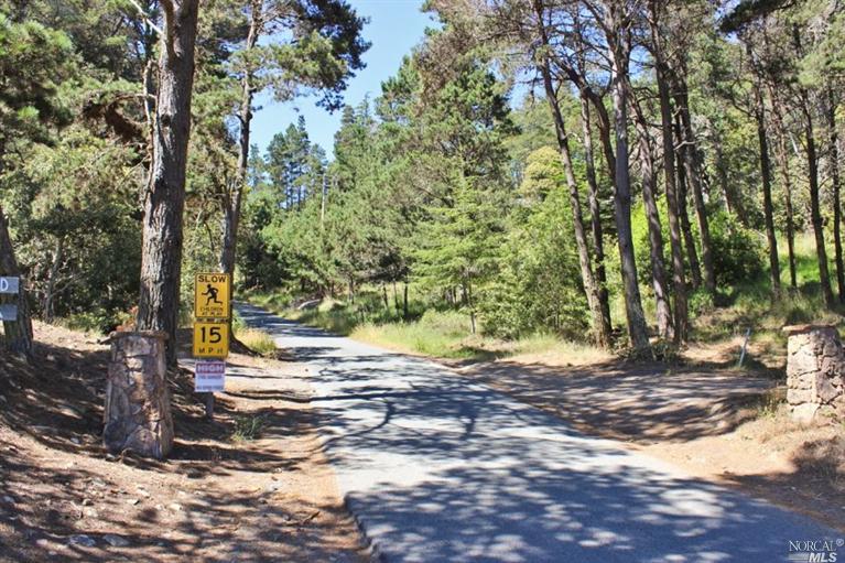 22284 Ruoff Rd, Jenner, CA 95450 photo 4