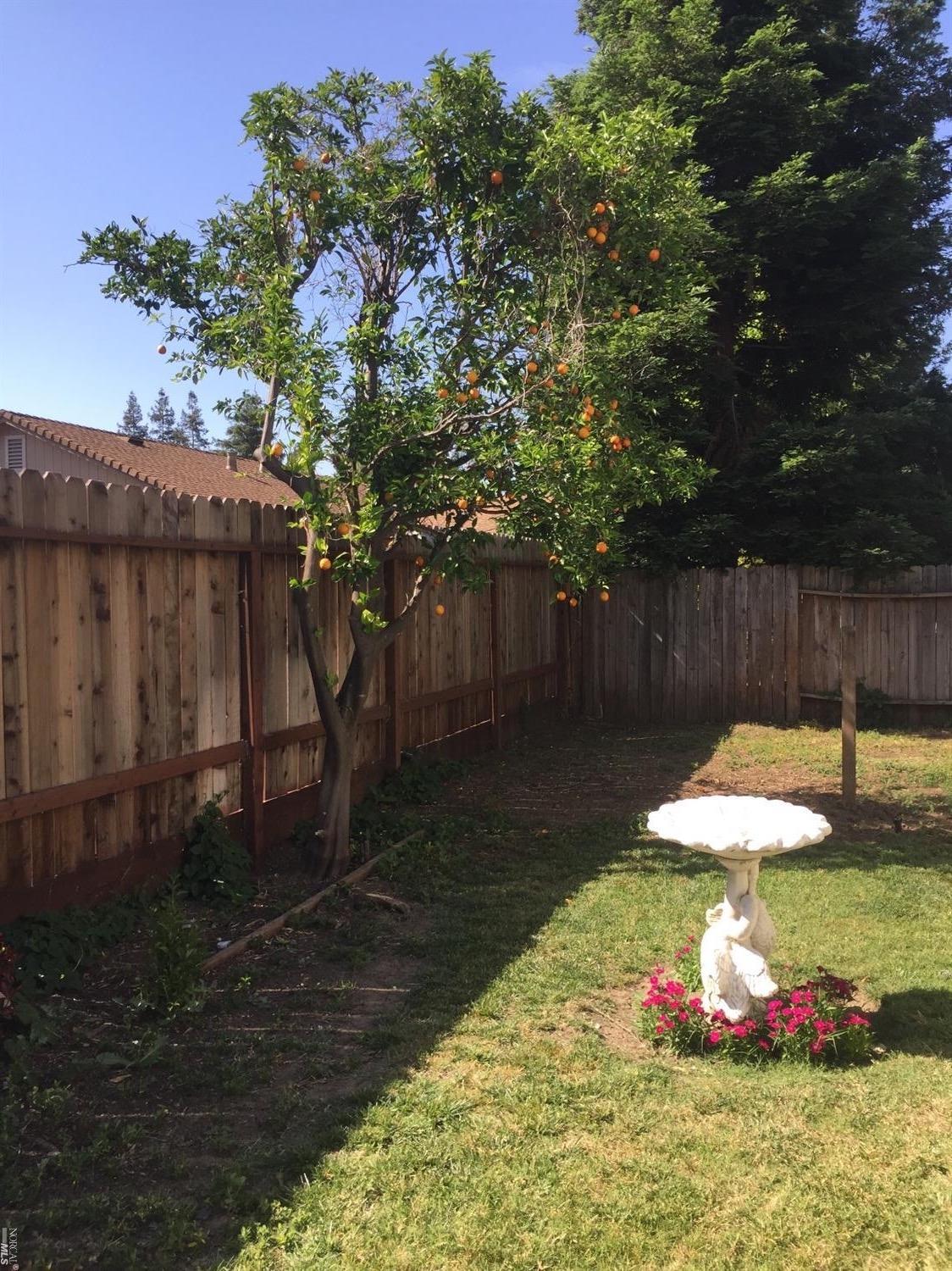 1195 Parkgreen Dr, Dixon, CA 95620 photo 34