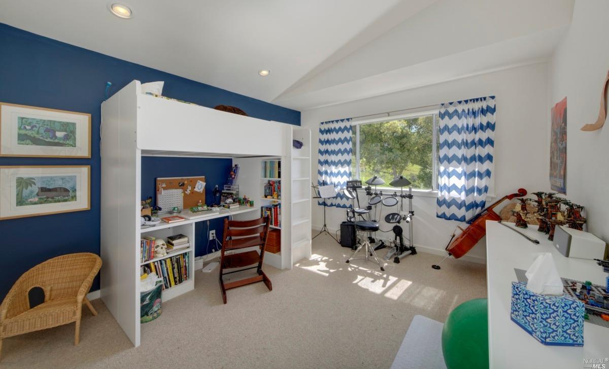 14 Albert Ln, Mill Valley, CA 94941 photo 23