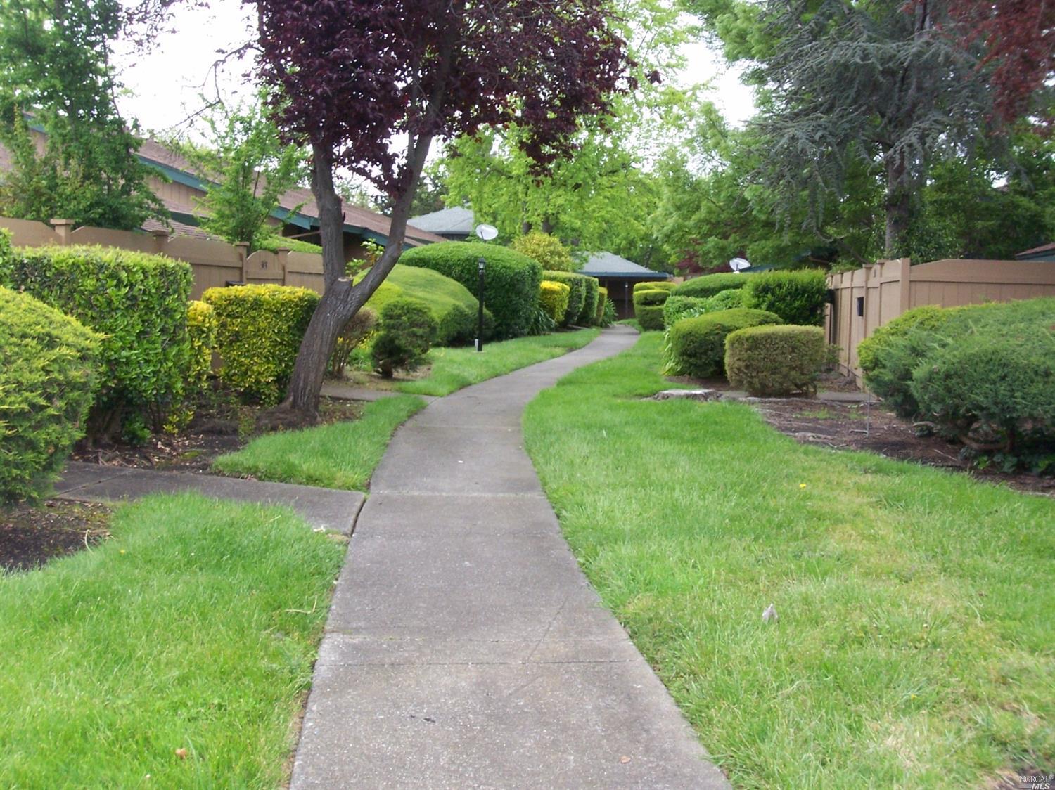 343 Lincoln Ave, Cotati, CA 94931 photo 2