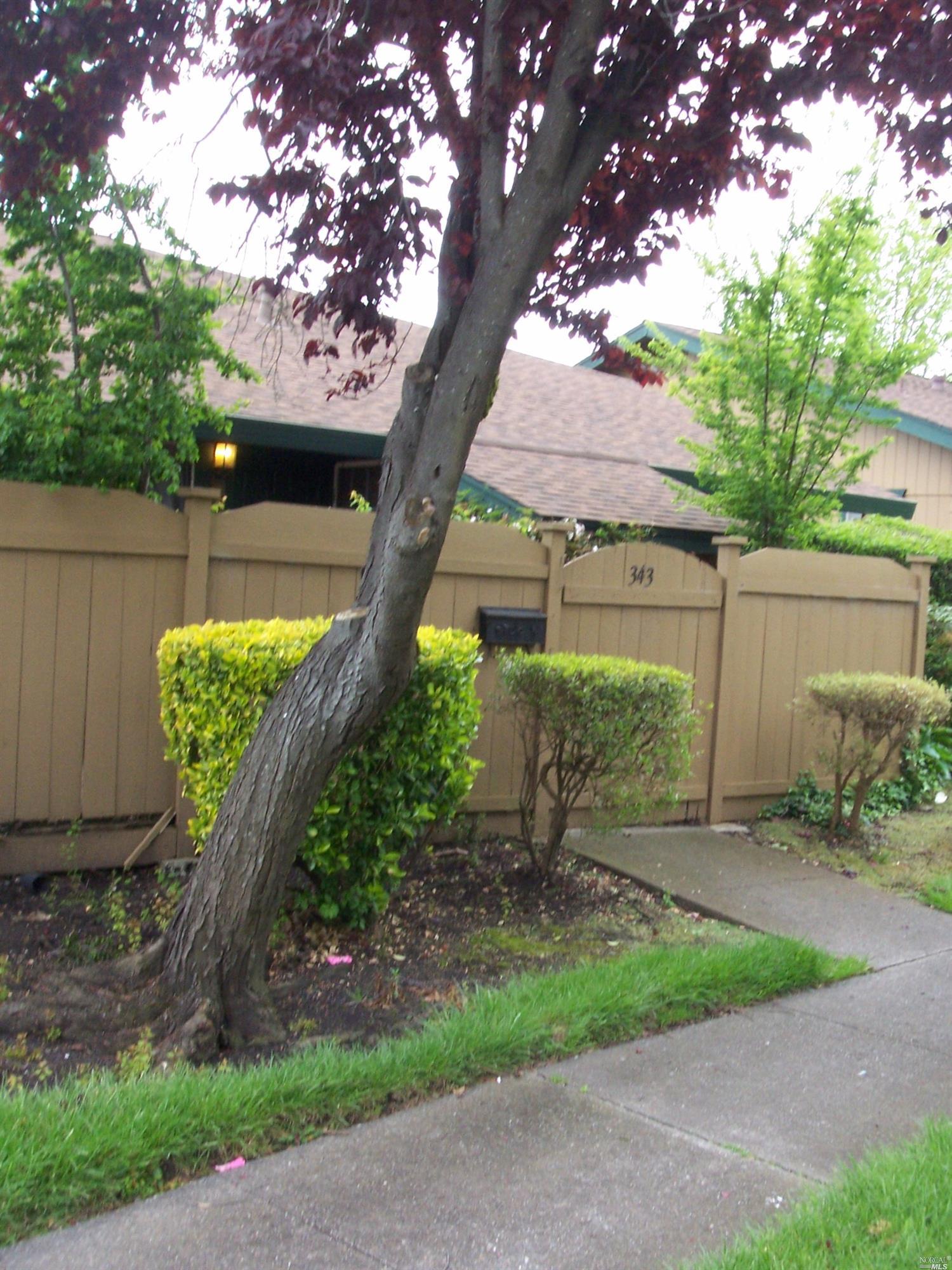 343 Lincoln Ave, Cotati, CA 94931 photo 3