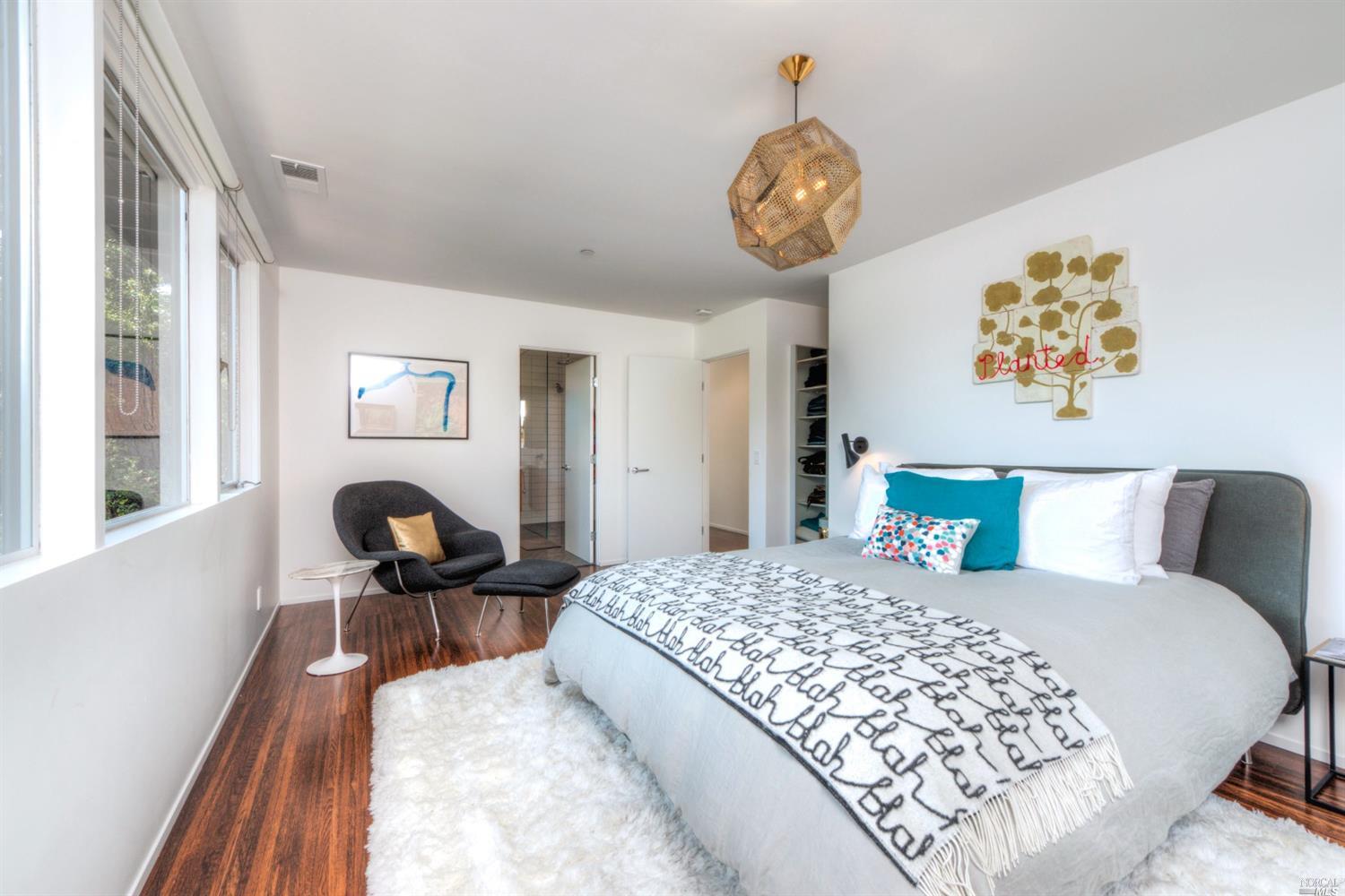 229 Ricardo Rd, Mill Valley, CA 94941 photo 23