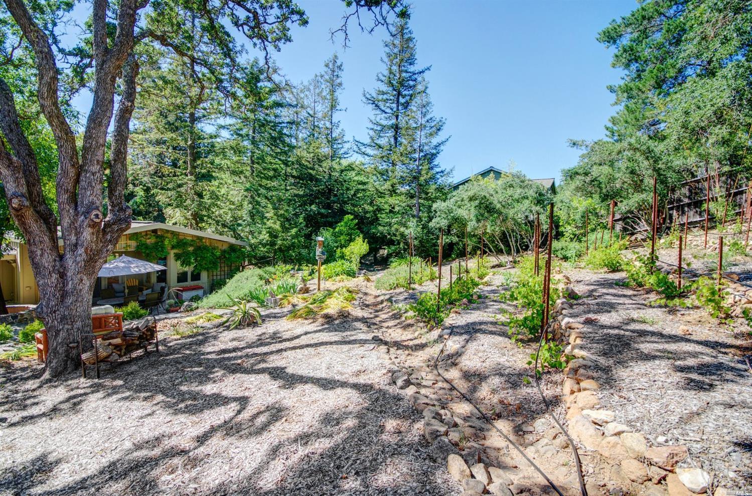 790 Michael Dr, Sonoma, CA 95476 photo 38