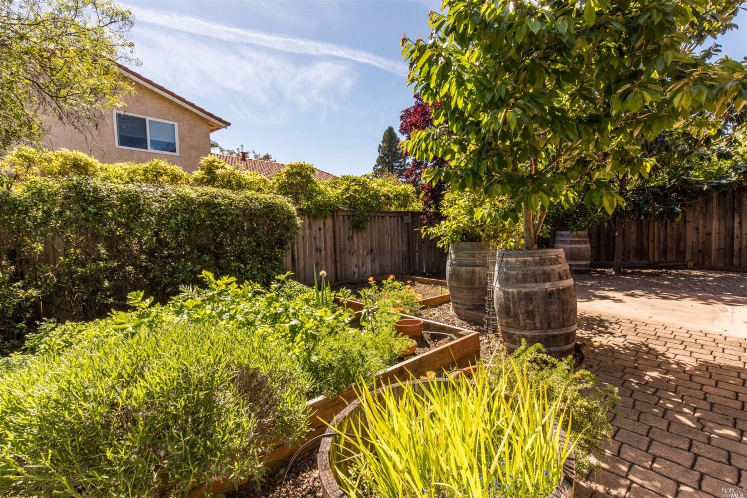 1905 Catenacci Ct, Petaluma, CA 94954 photo 20