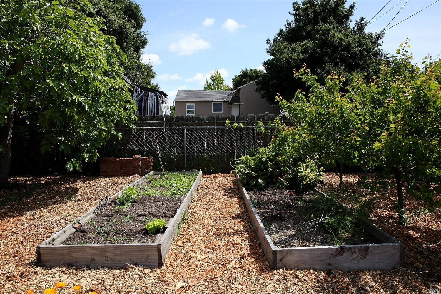 2504 Alameda St, Vallejo, CA 94590 photo 13
