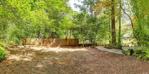 351 Corte Madera Ave, Mill Valley, CA 94941 photo 31