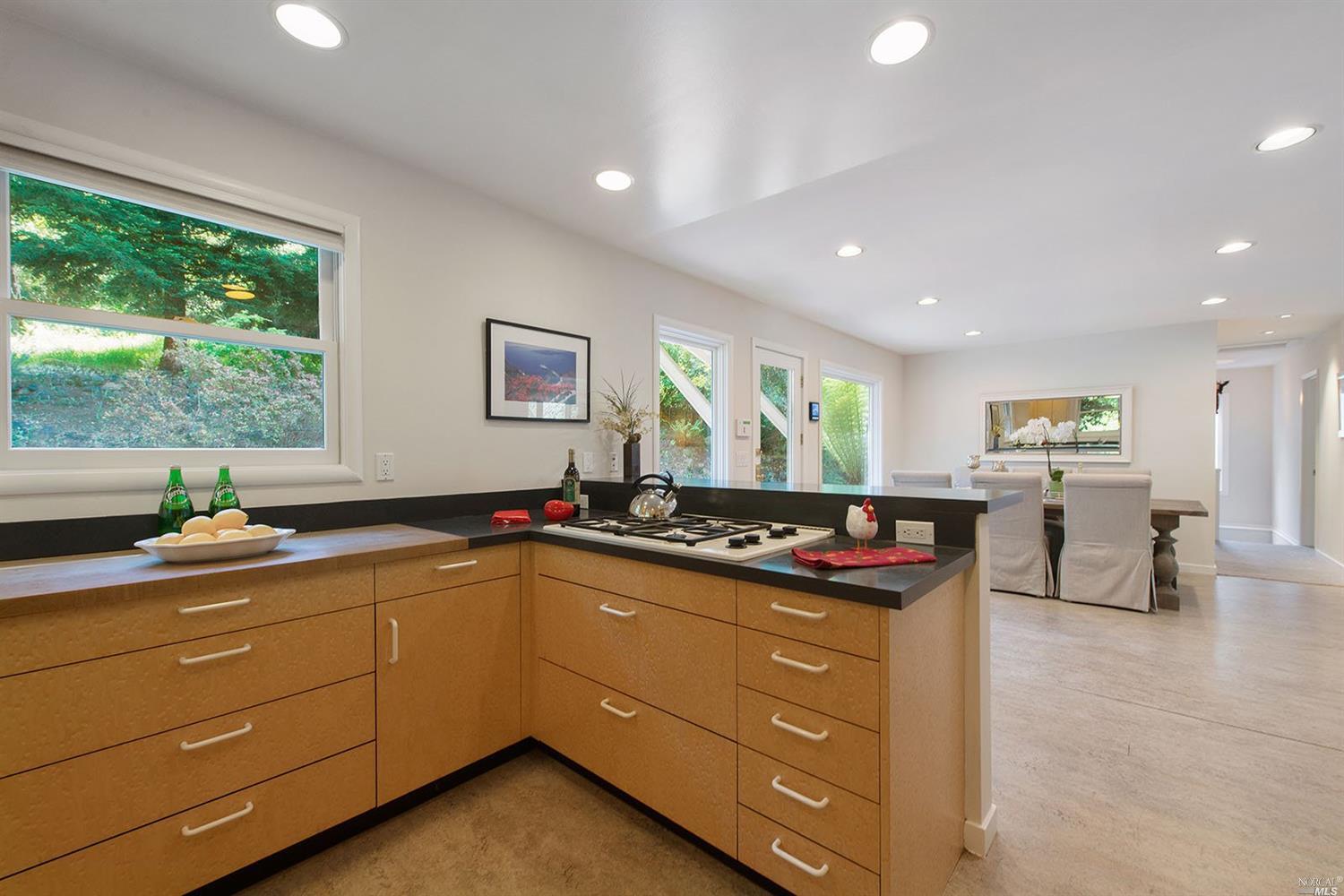 45 Lagunitas Rd, Lagunitas, CA 94938 photo 7