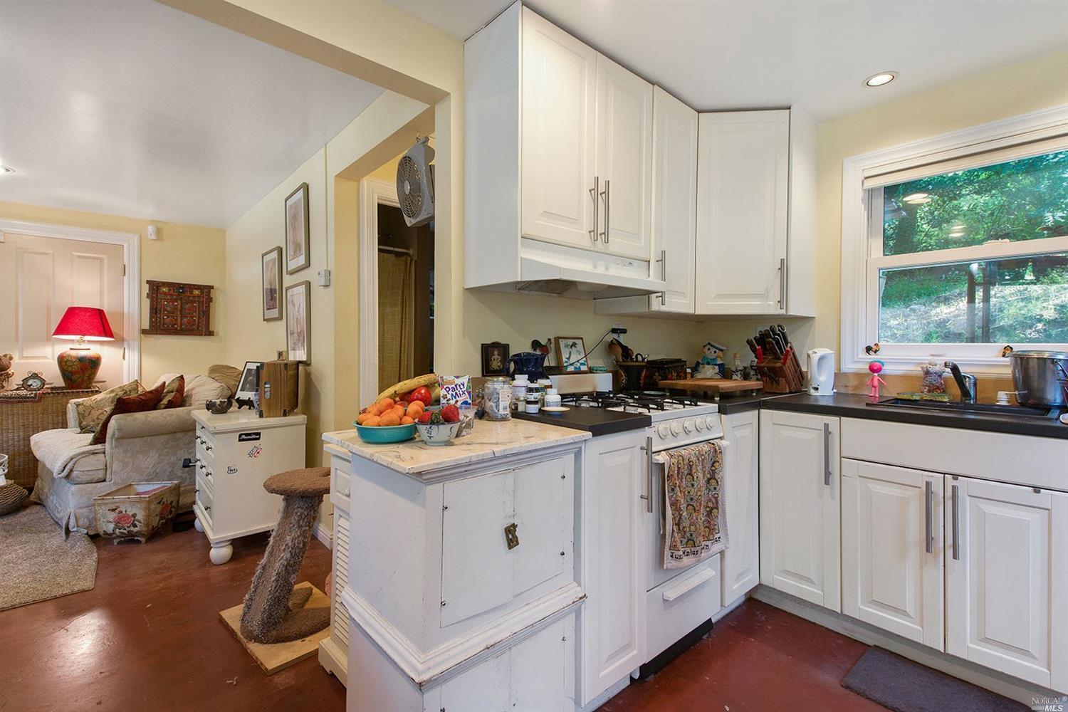 45 Lagunitas Rd, Lagunitas, CA 94938 photo 26