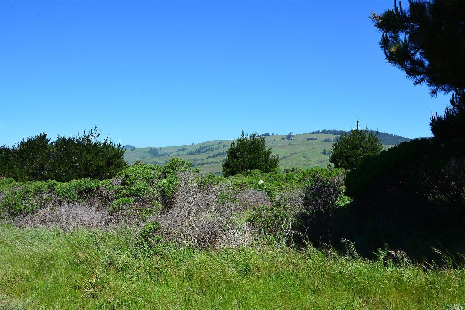 9518 Goat Hill Rd, Jenner, CA 95450 photo 40
