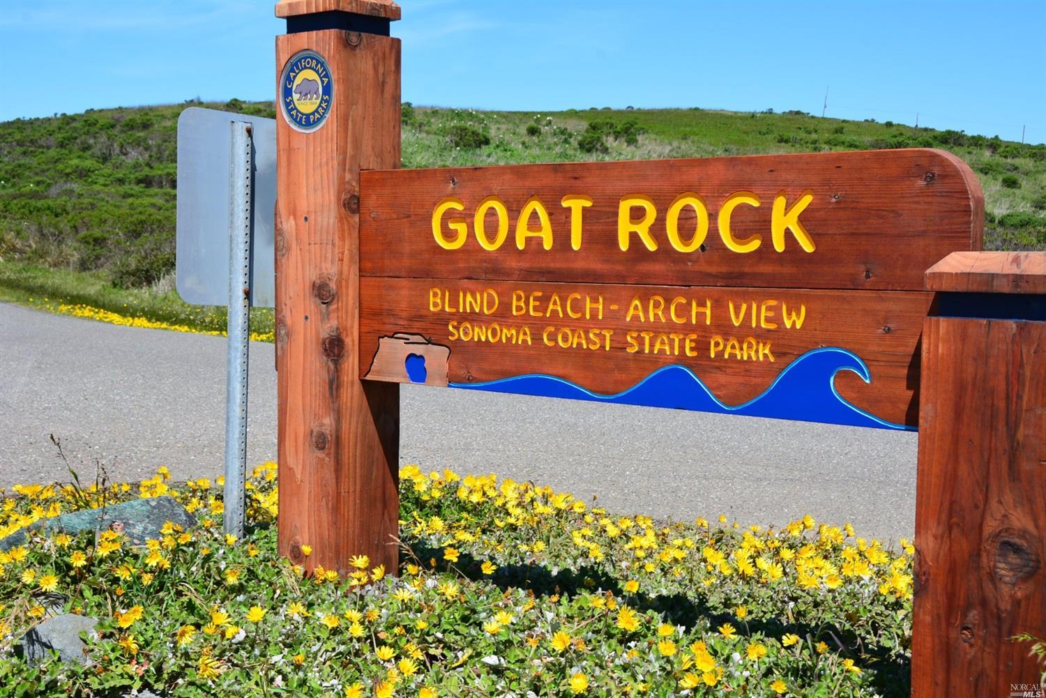 9518 Goat Hill Rd, Jenner, CA 95450 photo 37