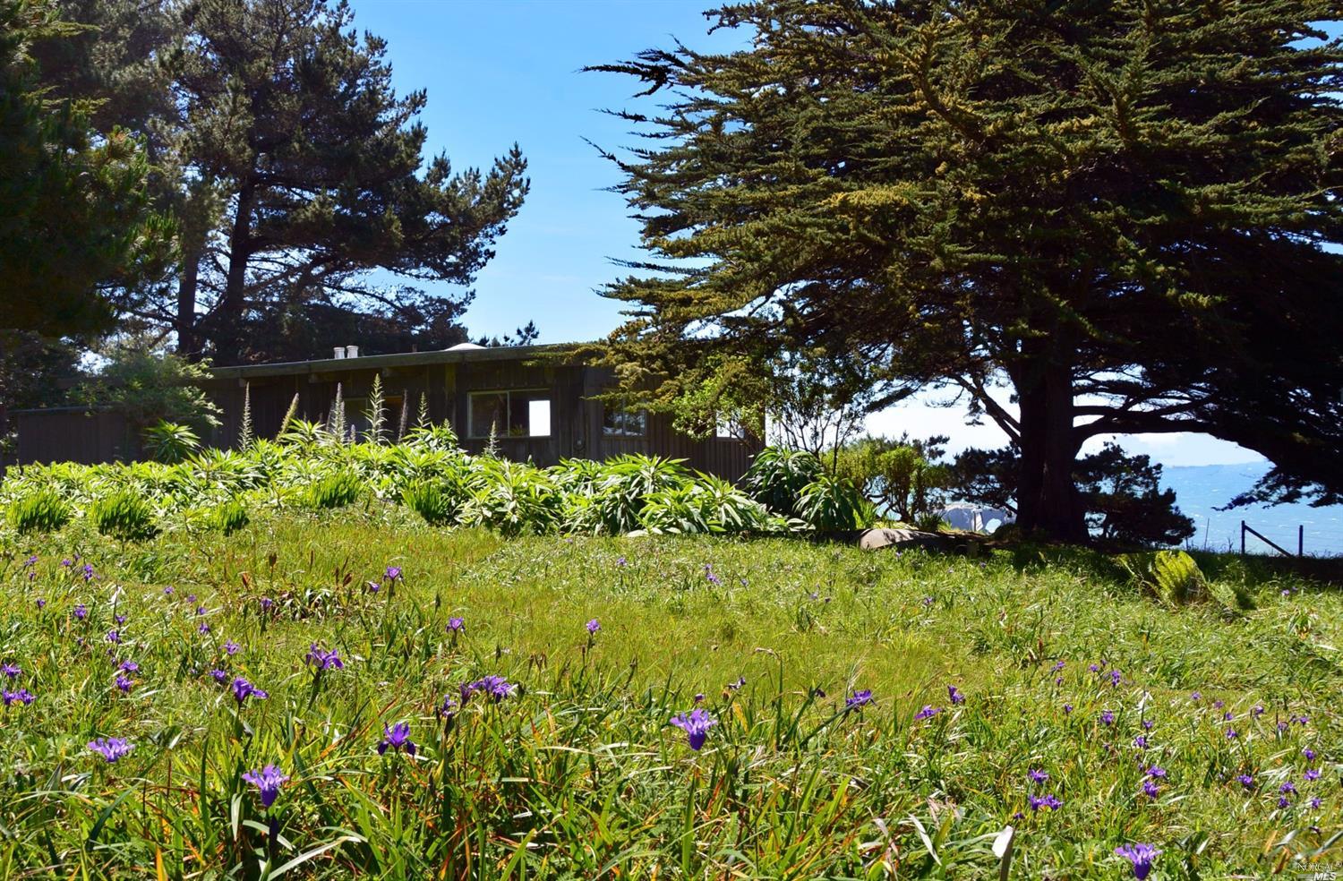 9518 Goat Hill Rd, Jenner, CA 95450 photo 22