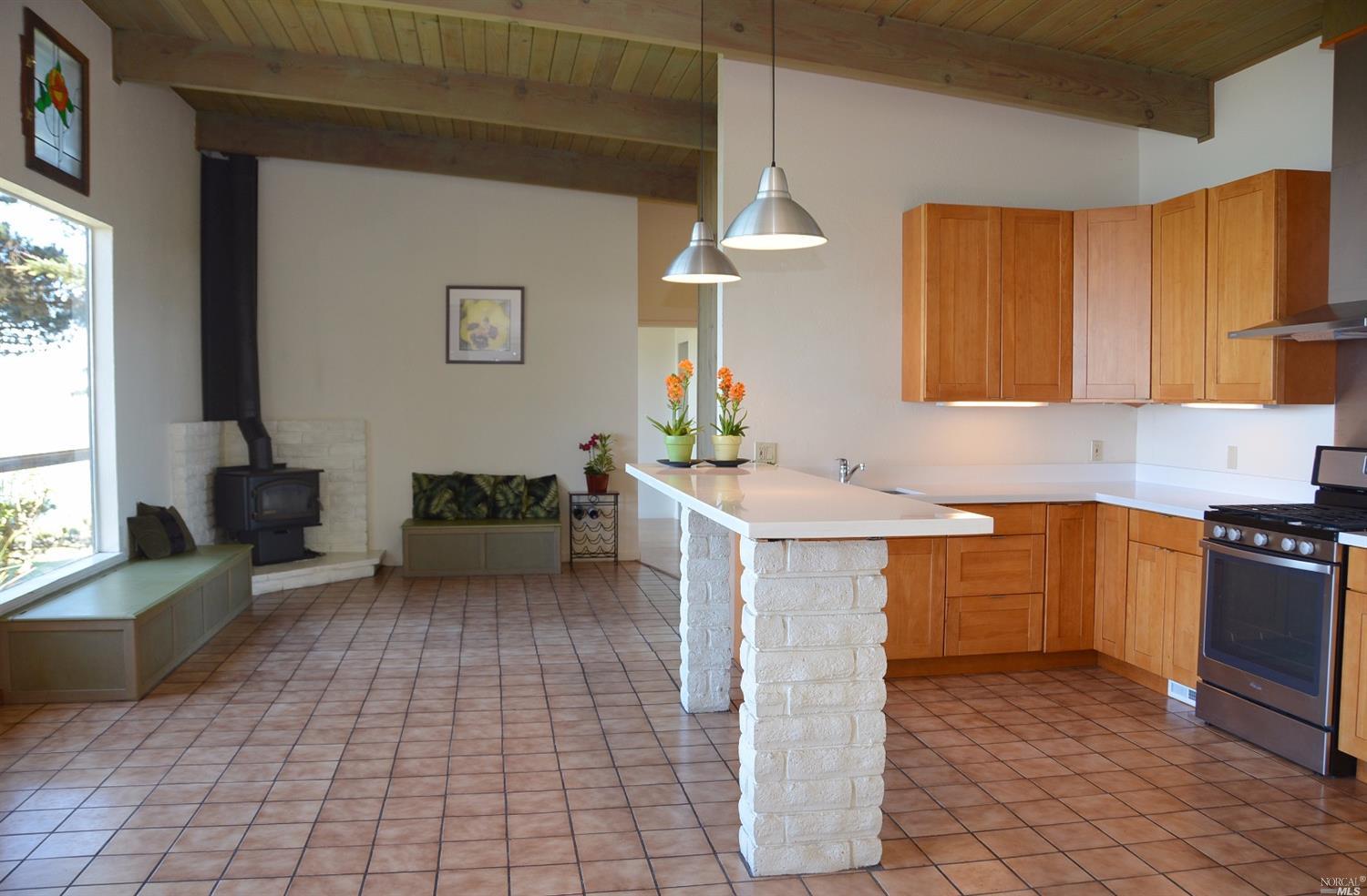 9518 Goat Hill Rd, Jenner, CA 95450 photo 9