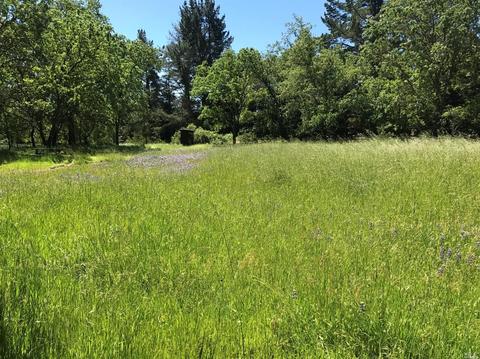 8555 Starr Rd, Windsor, CA 95492 photo 2