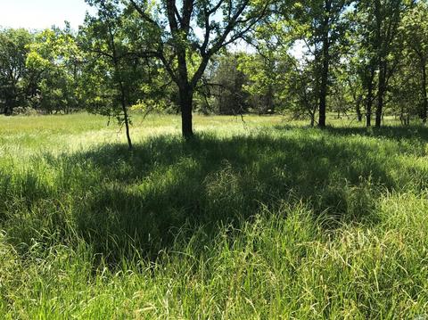 8555 Starr Rd, Windsor, CA 95492 photo 6